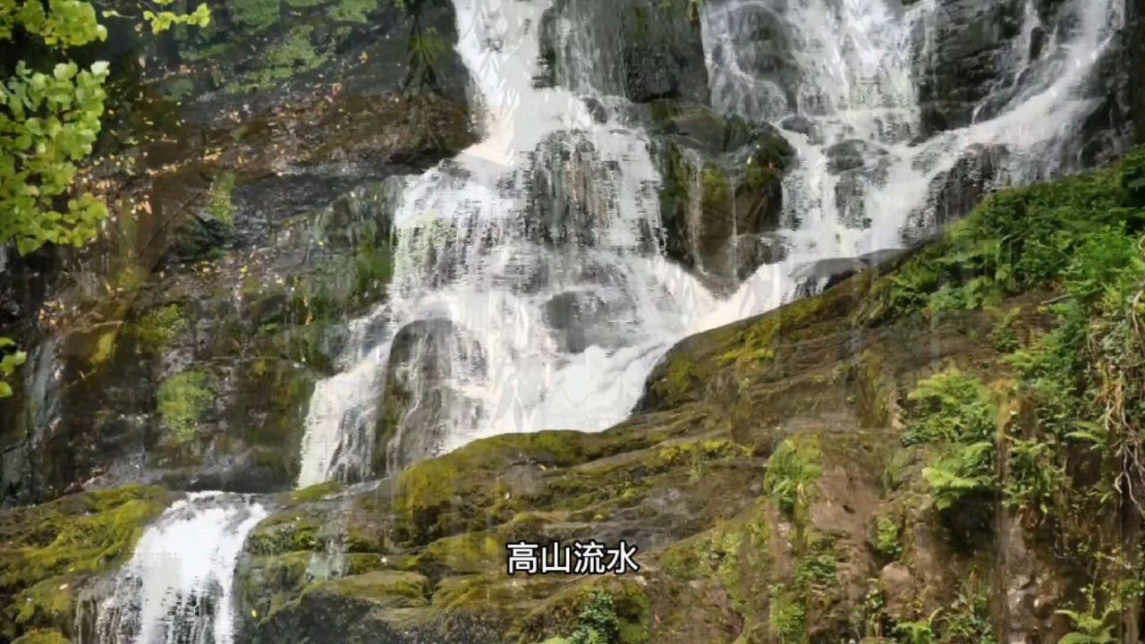 探索mykiteisinthetreetoo改为否定句?主题的mykiteisinthetreetoo改为否定句?平台